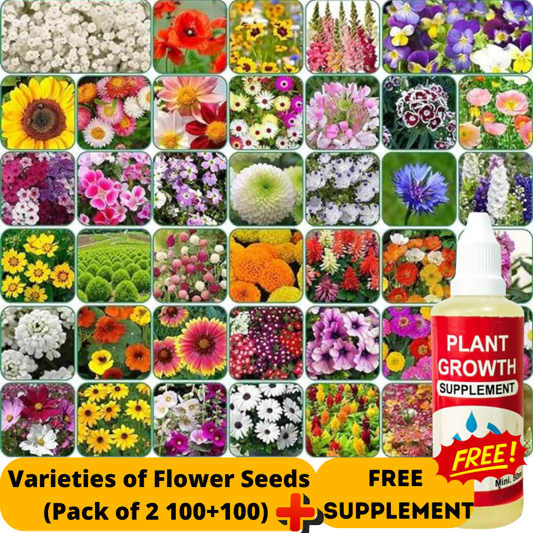 GardenJoy Assorted Flower Seeds (Pack of 2 100+ 100 ) + Plant Growth Supplement FREE🔥