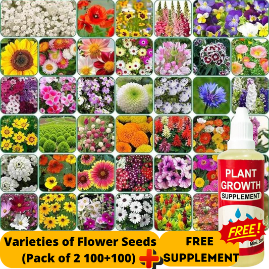 Buy Varieties of Flower Seeds (Pack of 100) And Get Plant Growth Supplement Free