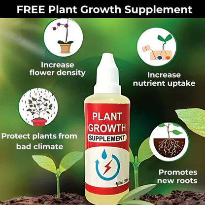 Buy Varieties of Flower Seeds (Pack of 100) And Get Plant Growth Supplement Free